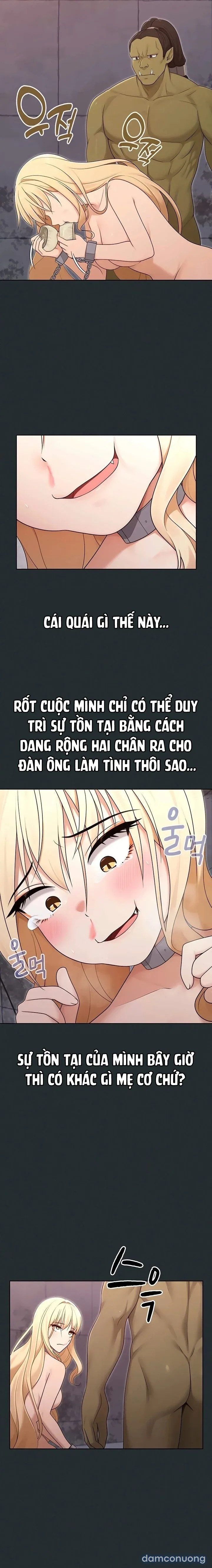 Nàng Vợ Ma Thuật 
