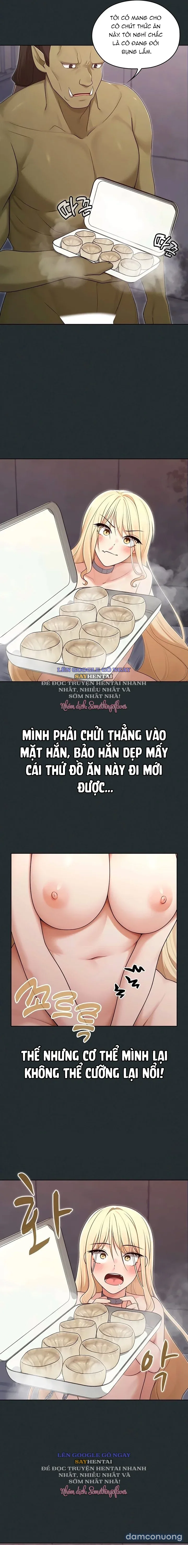 Nàng Vợ Ma Thuật 