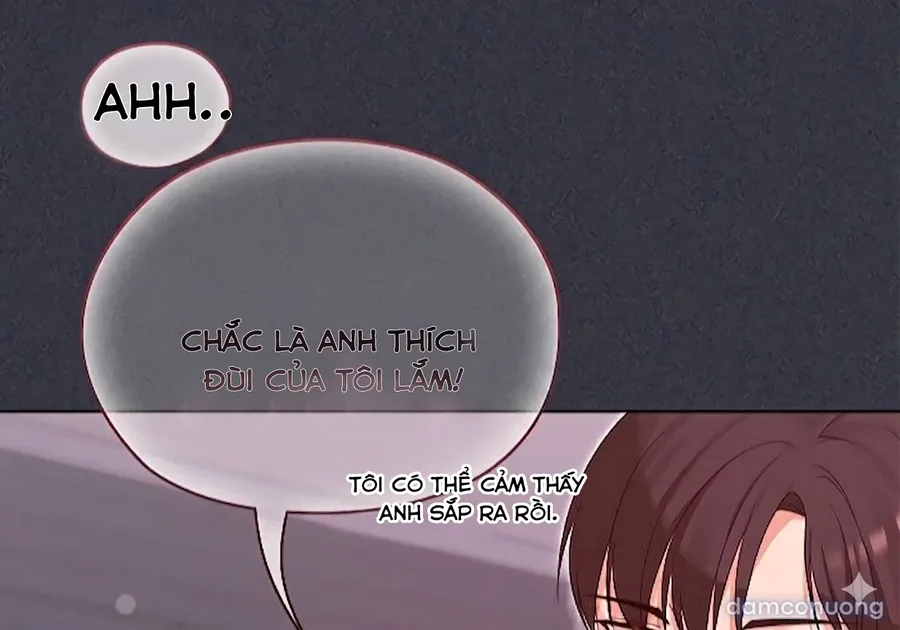 Nàng Vợ Ma Thuật 