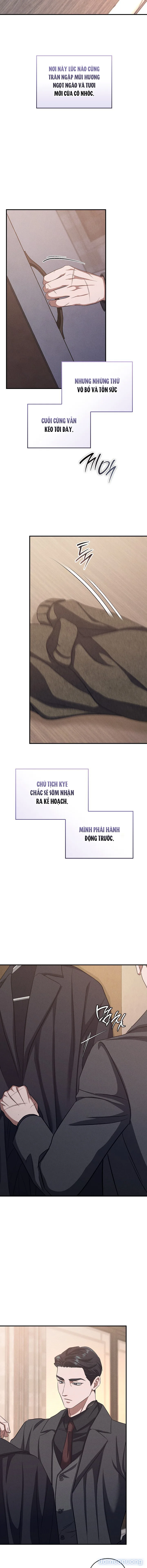Ông Chú Xấu Xa 