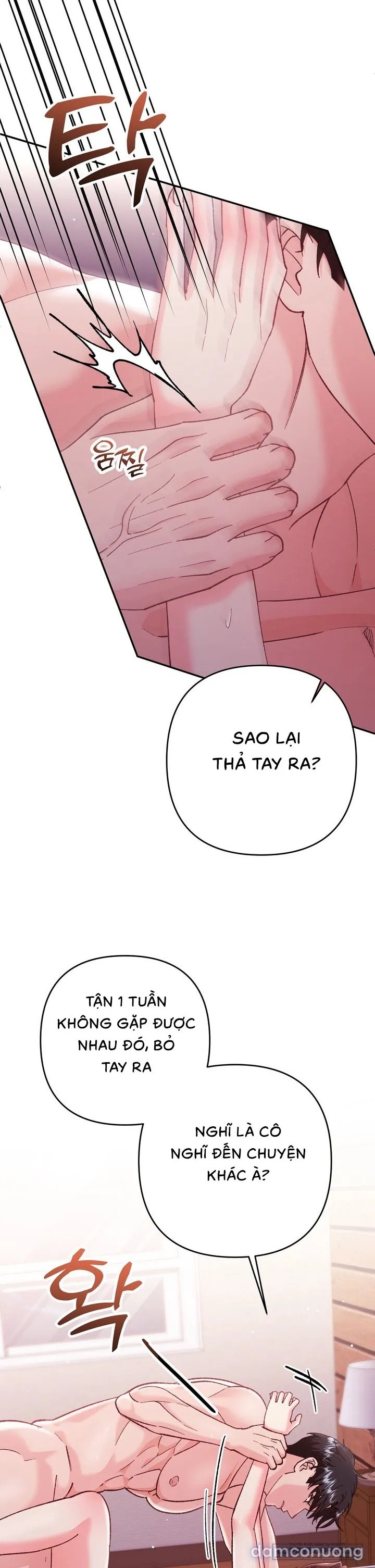 Vì Đó Là Yêu 