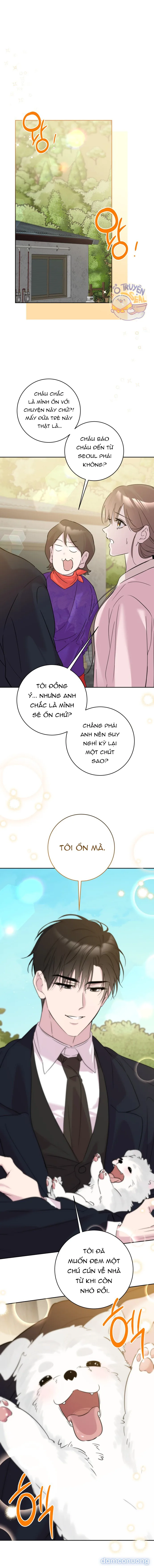 Tình Yêu Bắt Đầu Từ Việc Nuôi Dạy Con Cái 