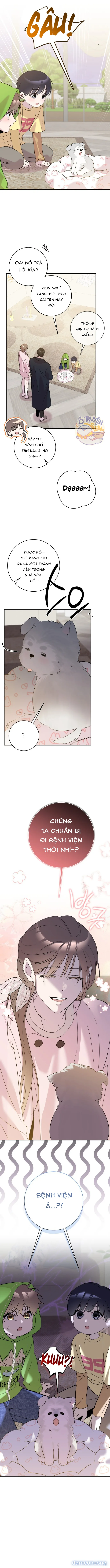 Tình Yêu Bắt Đầu Từ Việc Nuôi Dạy Con Cái 