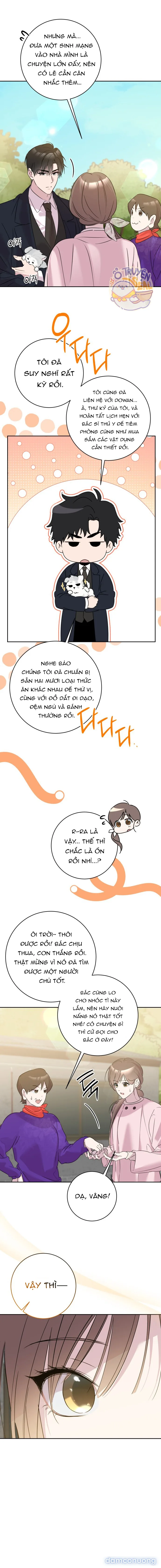 Tình Yêu Bắt Đầu Từ Việc Nuôi Dạy Con Cái 