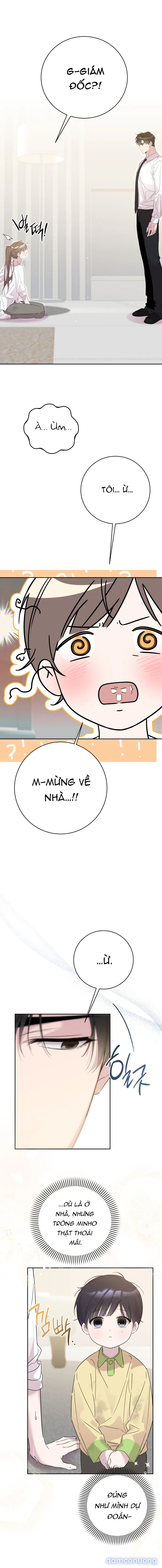 Tình Yêu Bắt Đầu Từ Việc Nuôi Dạy Con Cái 