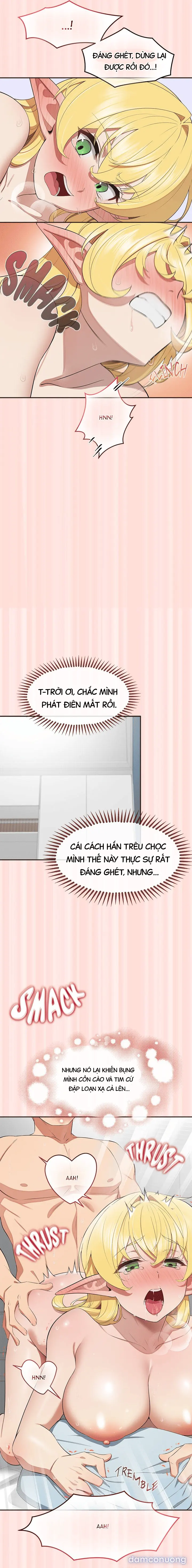 Mầm Sống Định Mệnh 