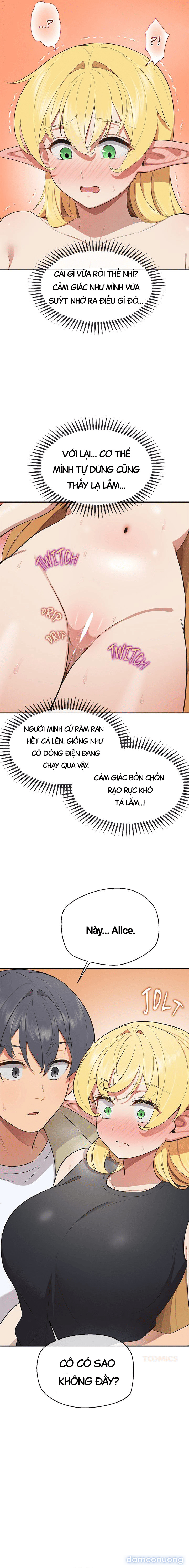 Mầm Sống Định Mệnh 
