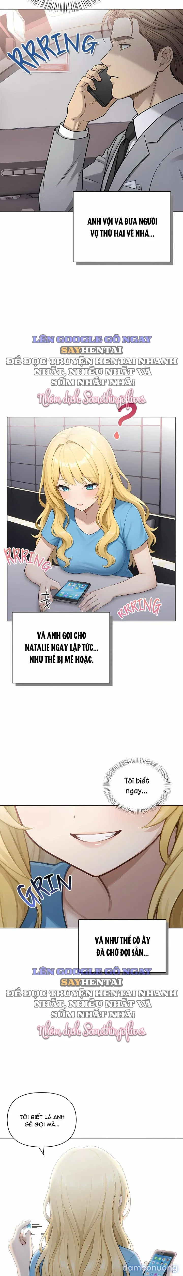Gia Đình Đa Thê 