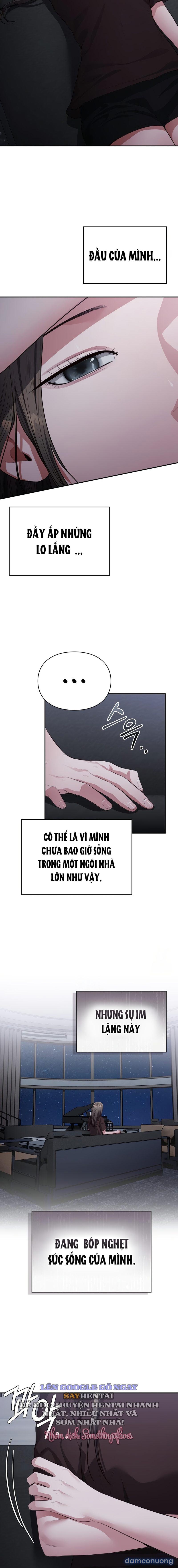 Hội Chứng Beethoven 