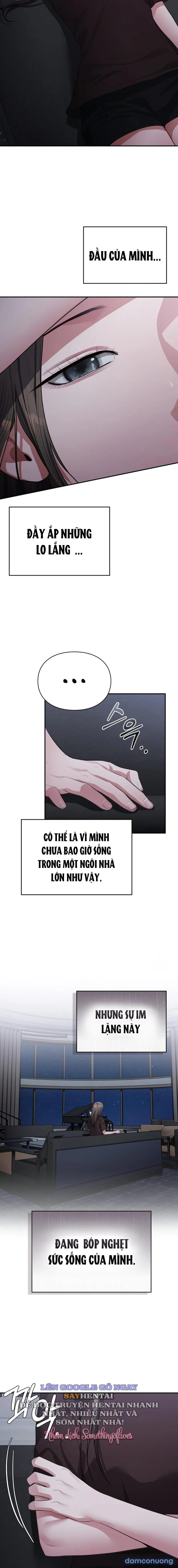 Hội Chứng Beethoven 