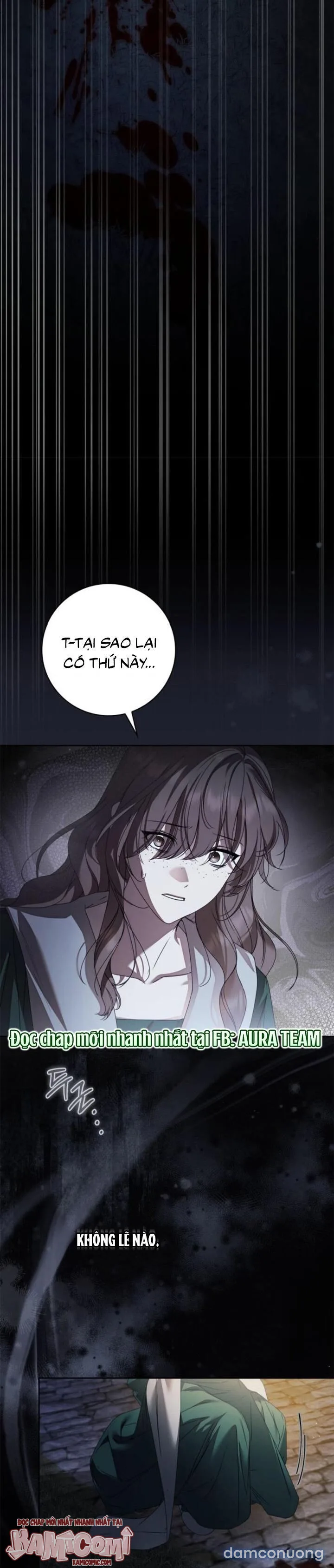 Nữ Hầu Bí Mật Của Nhà Bá Tước 