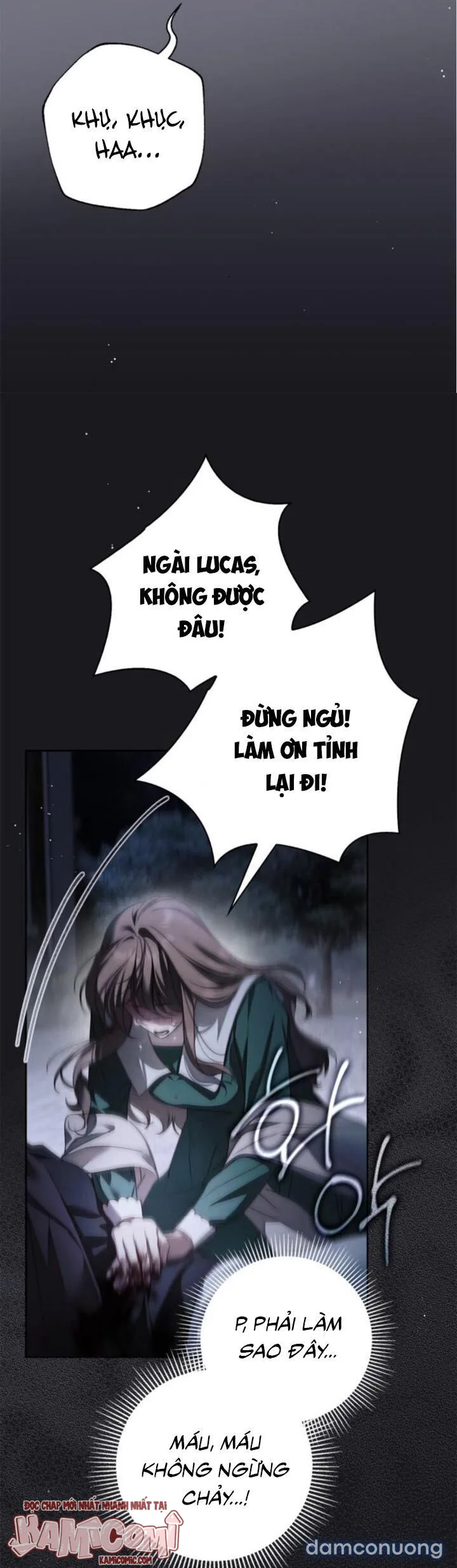 Nữ Hầu Bí Mật Của Nhà Bá Tước 