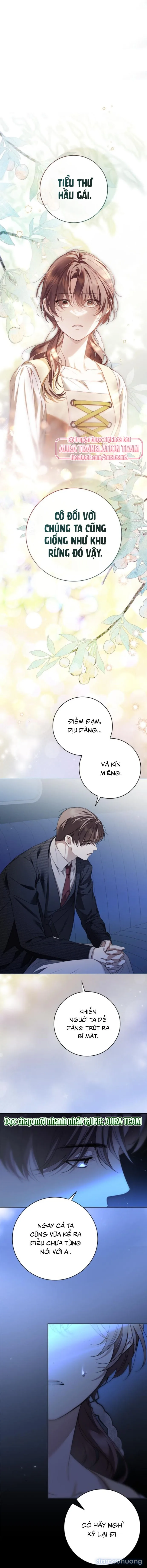 Nữ Hầu Bí Mật Của Nhà Bá Tước 