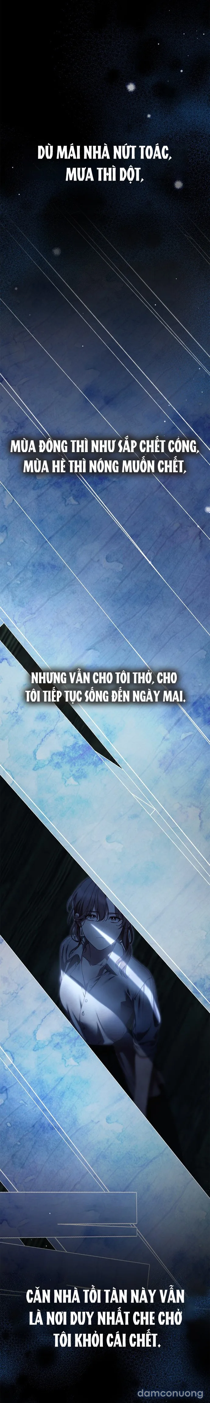 Nữ Hầu Bí Mật Của Nhà Bá Tước 