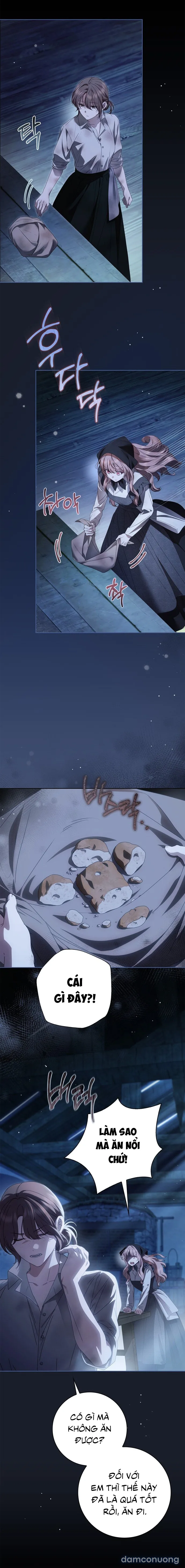 Nữ Hầu Bí Mật Của Nhà Bá Tước 