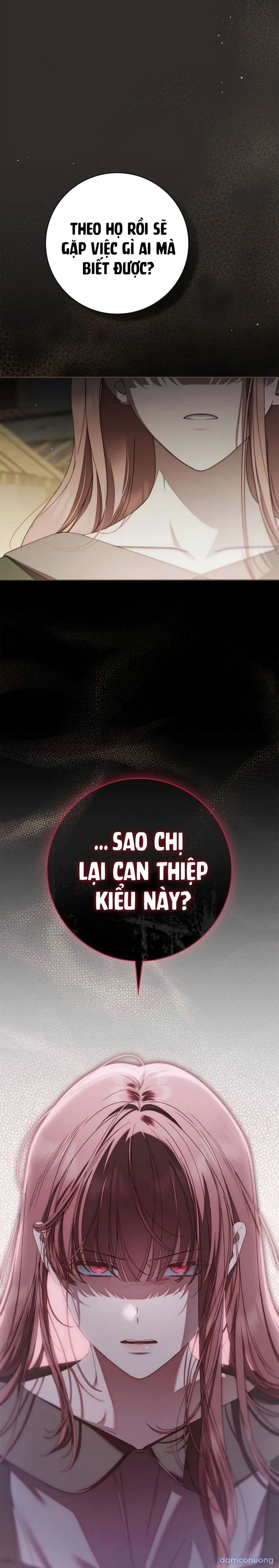 Nữ Hầu Bí Mật Của Nhà Bá Tước 