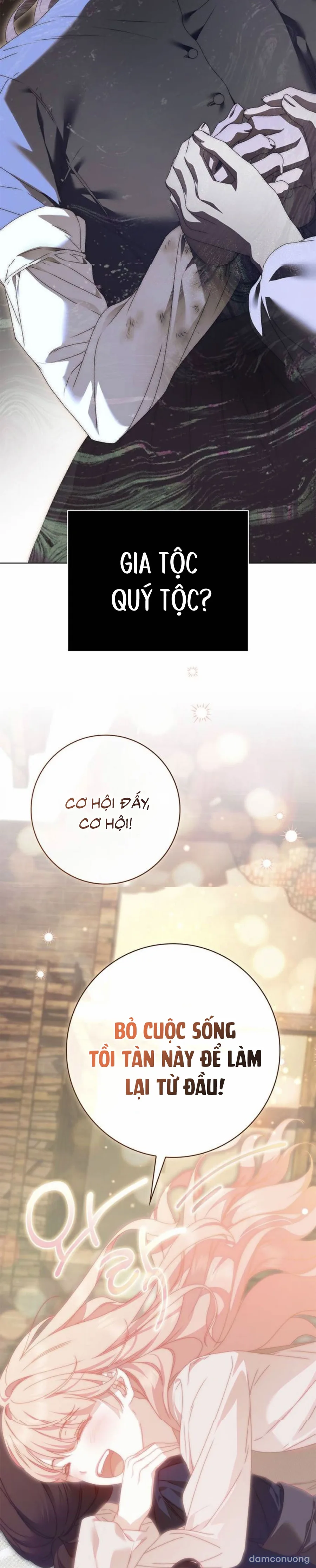 Nữ Hầu Bí Mật Của Nhà Bá Tước 