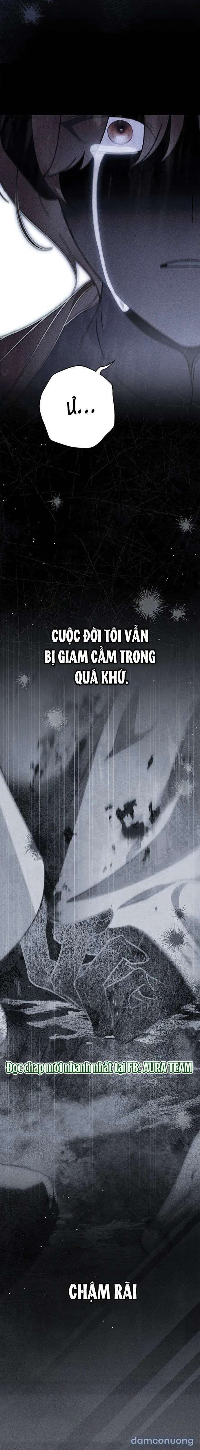 Nữ Hầu Bí Mật Của Nhà Bá Tước 