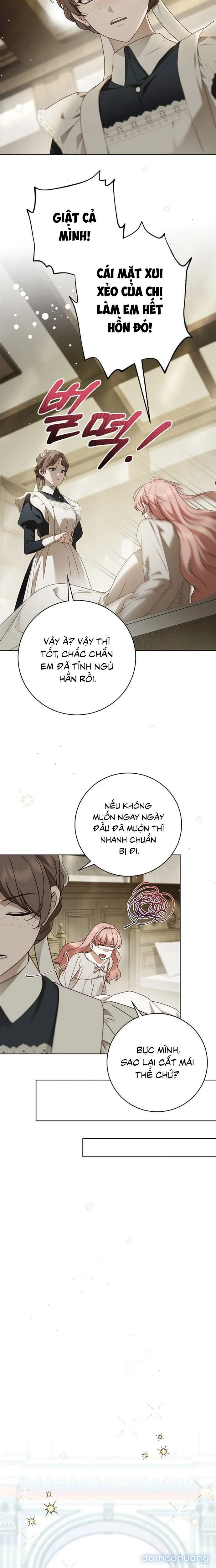 Nữ Hầu Bí Mật Của Nhà Bá Tước 