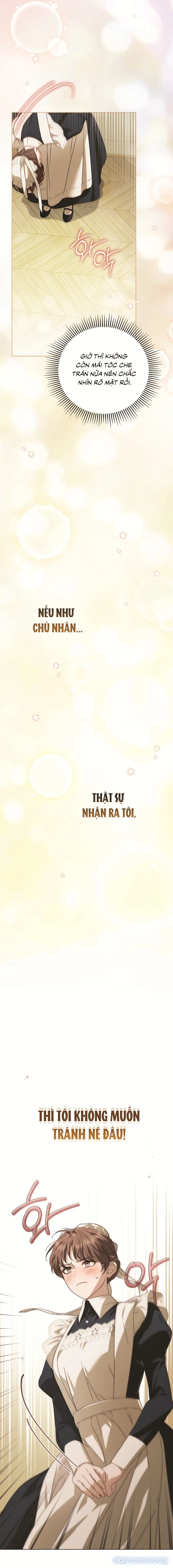 Nữ Hầu Bí Mật Của Nhà Bá Tước 