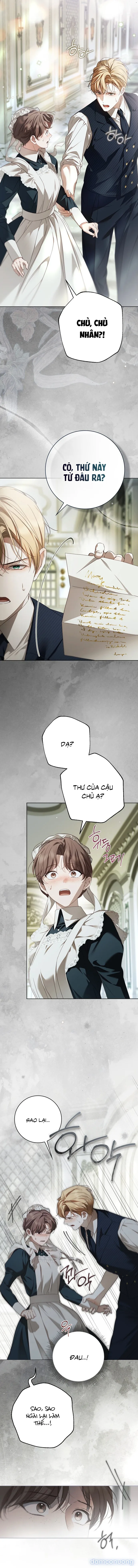 Nữ Hầu Bí Mật Của Nhà Bá Tước 