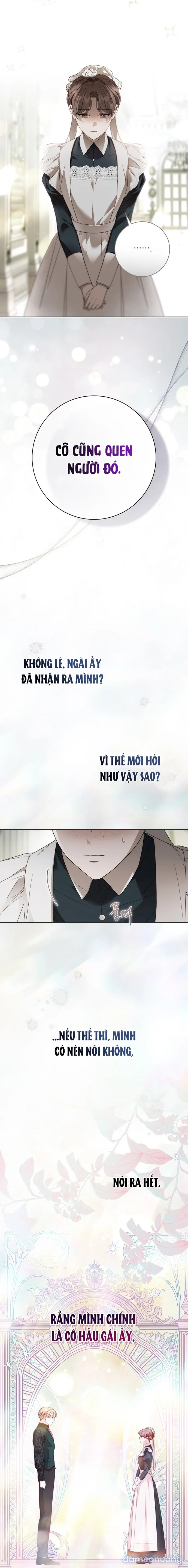 Nữ Hầu Bí Mật Của Nhà Bá Tước 