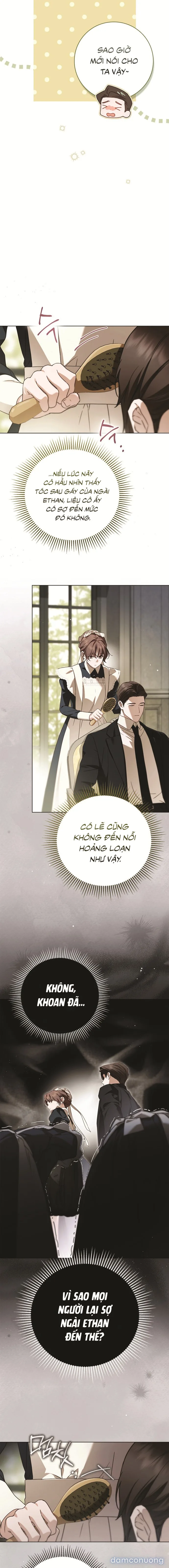 Nữ Hầu Bí Mật Của Nhà Bá Tước 