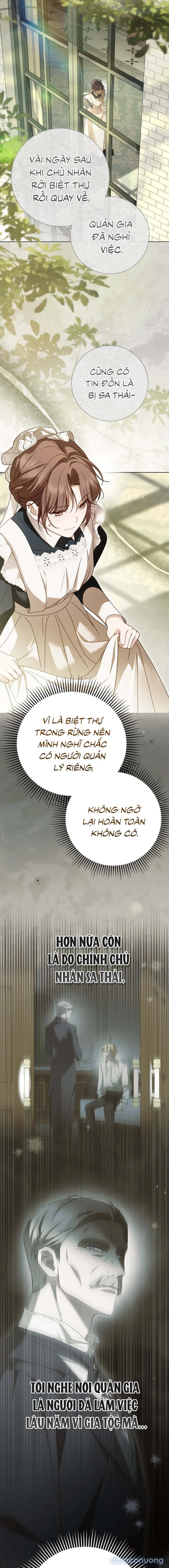 Nữ Hầu Bí Mật Của Nhà Bá Tước 