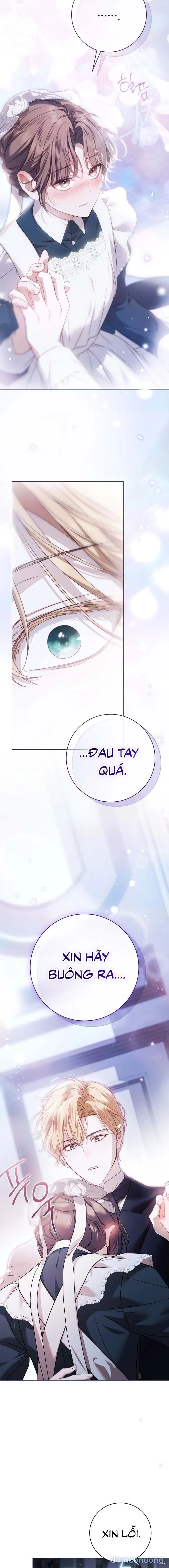 Nữ Hầu Bí Mật Của Nhà Bá Tước 
