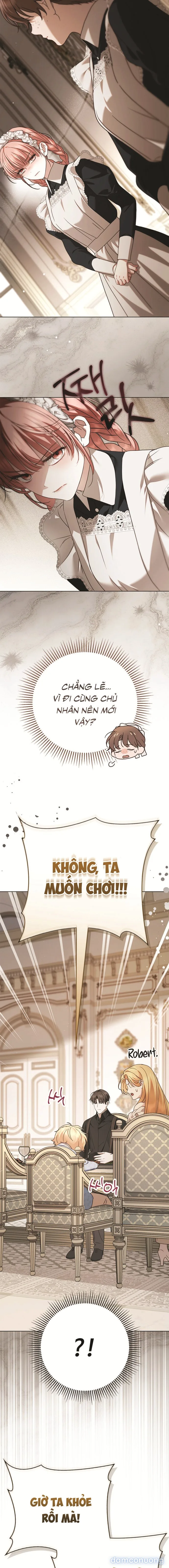 Nữ Hầu Bí Mật Của Nhà Bá Tước 