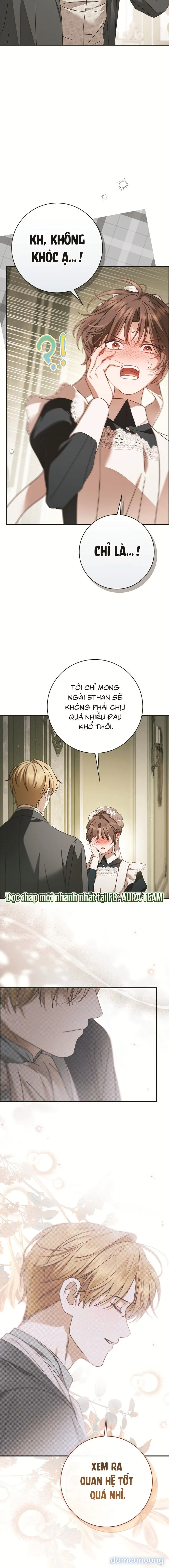 Nữ Hầu Bí Mật Của Nhà Bá Tước 