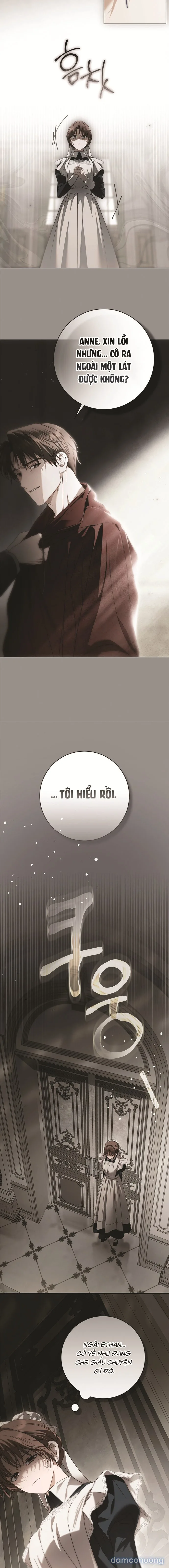 Nữ Hầu Bí Mật Của Nhà Bá Tước 