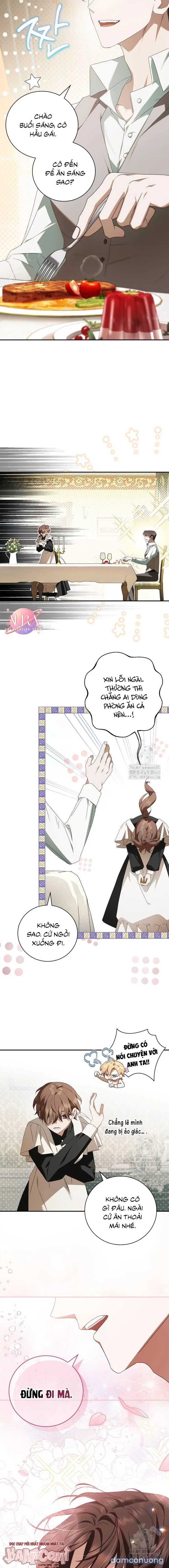 Nữ Hầu Bí Mật Của Nhà Bá Tước 