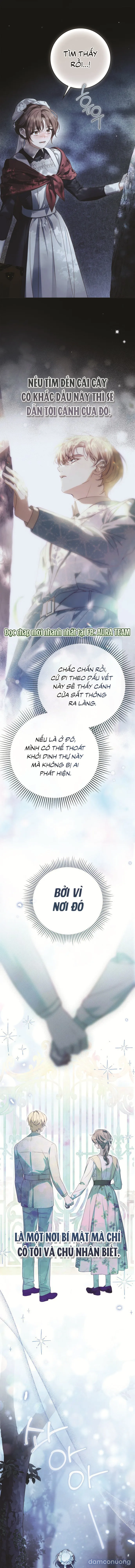 Nữ Hầu Bí Mật Của Nhà Bá Tước 