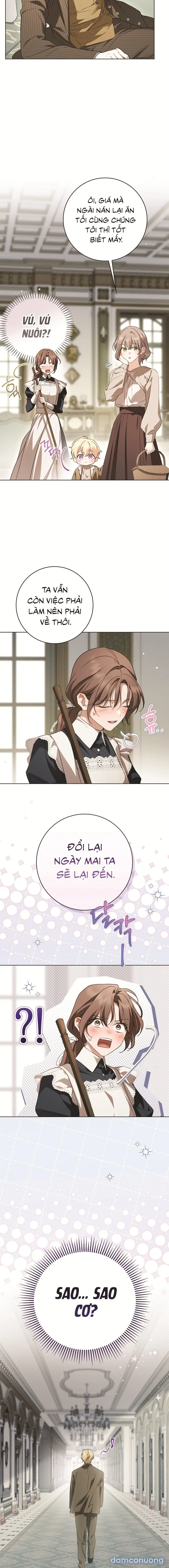 Nữ Hầu Bí Mật Của Nhà Bá Tước 