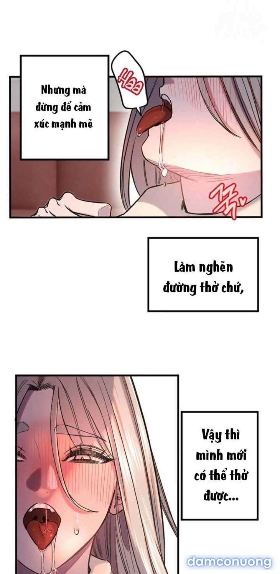 Manitto 