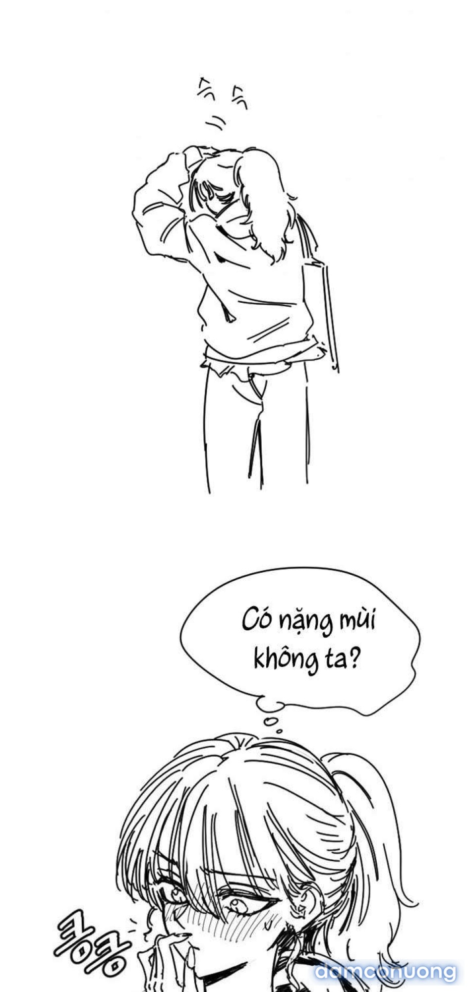 Manitto 