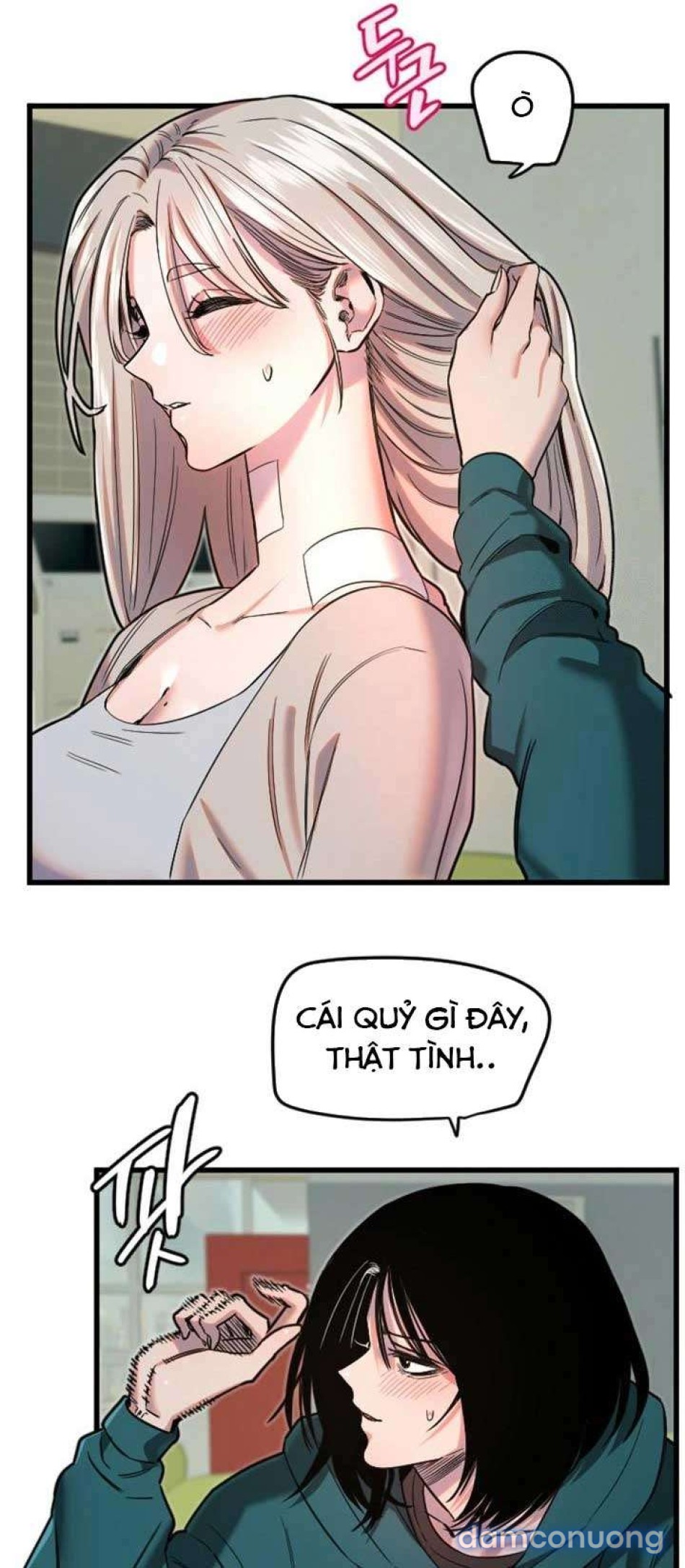 Manitto 