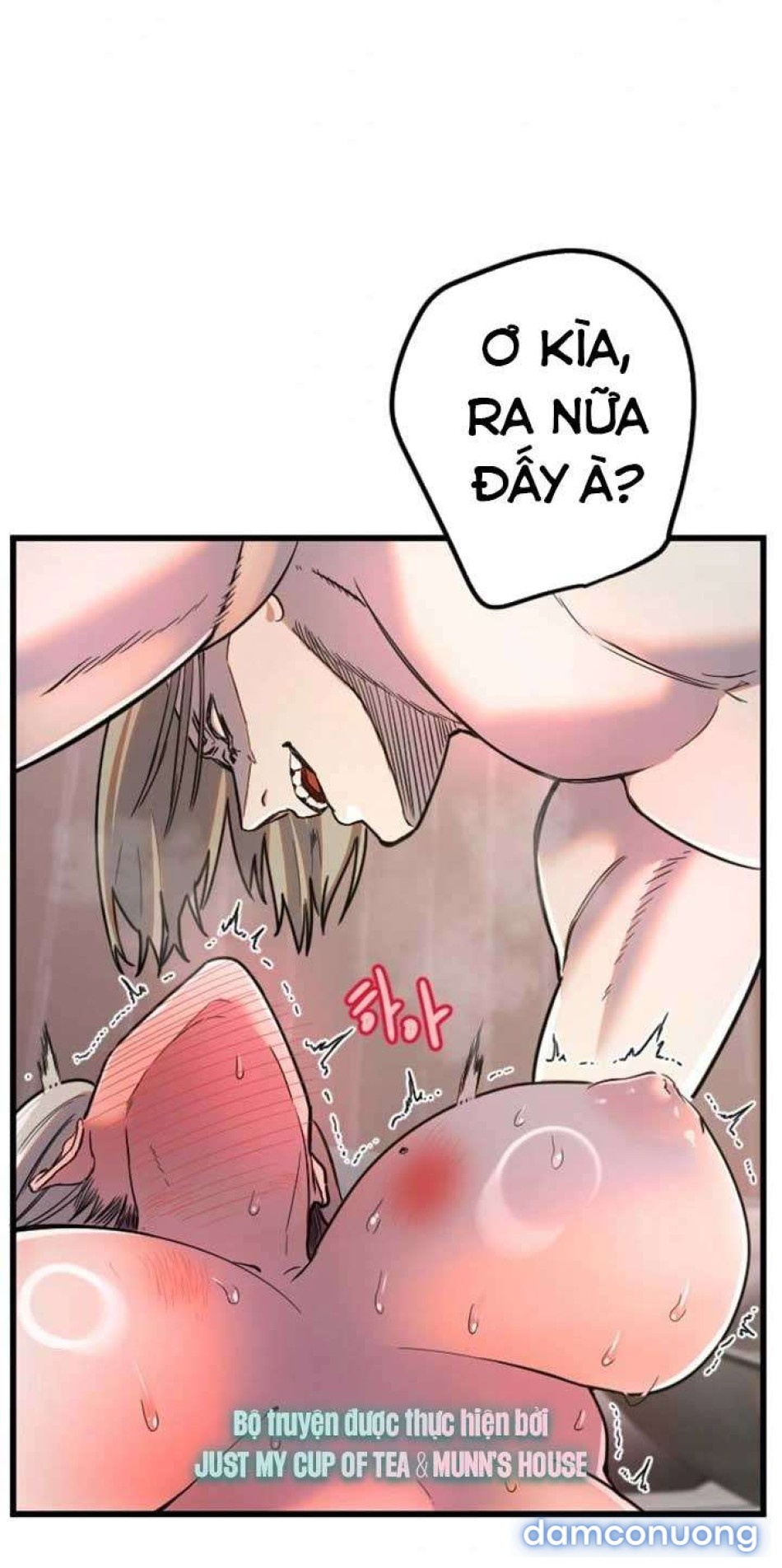 Manitto 