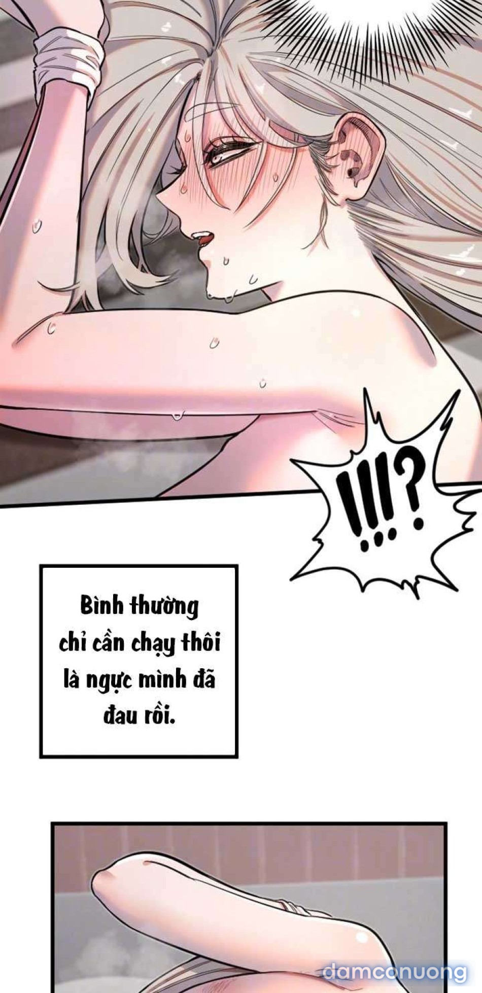 Manitto 