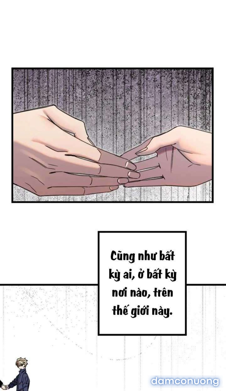 Manitto 