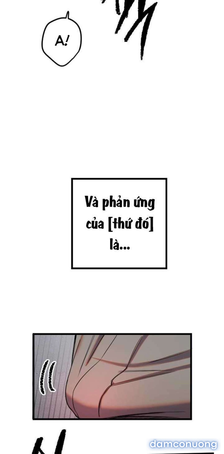 Manitto 
