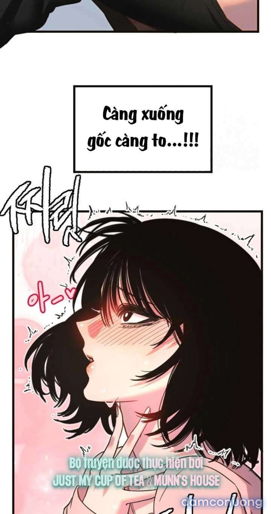 Manitto 