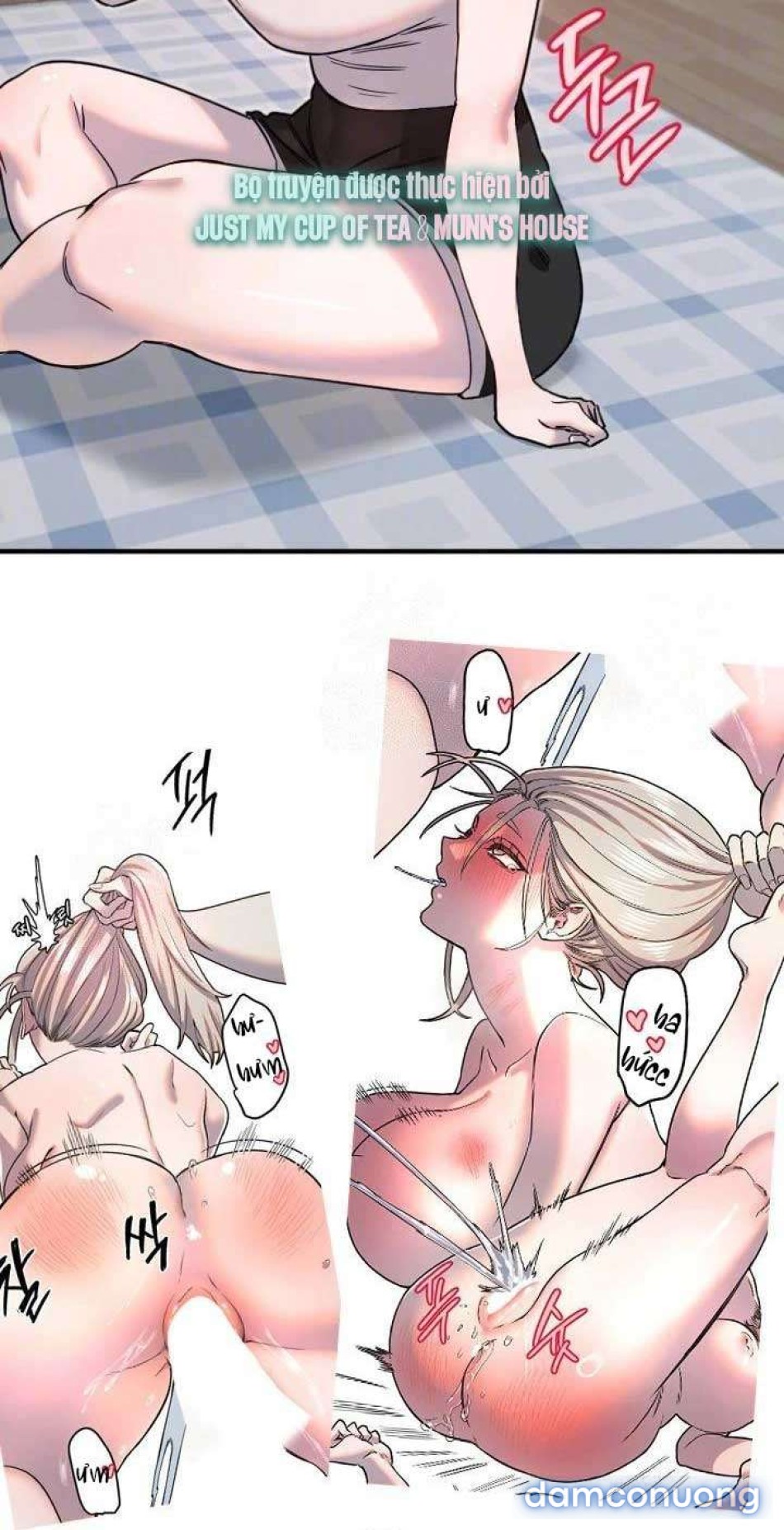 Manitto 