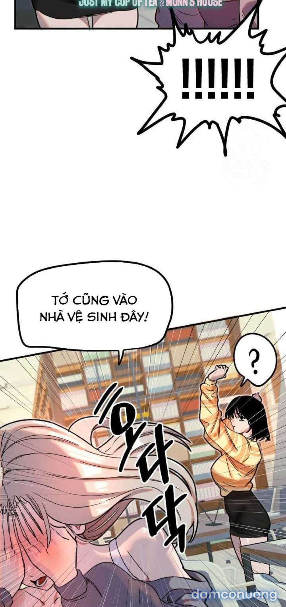 Manitto 