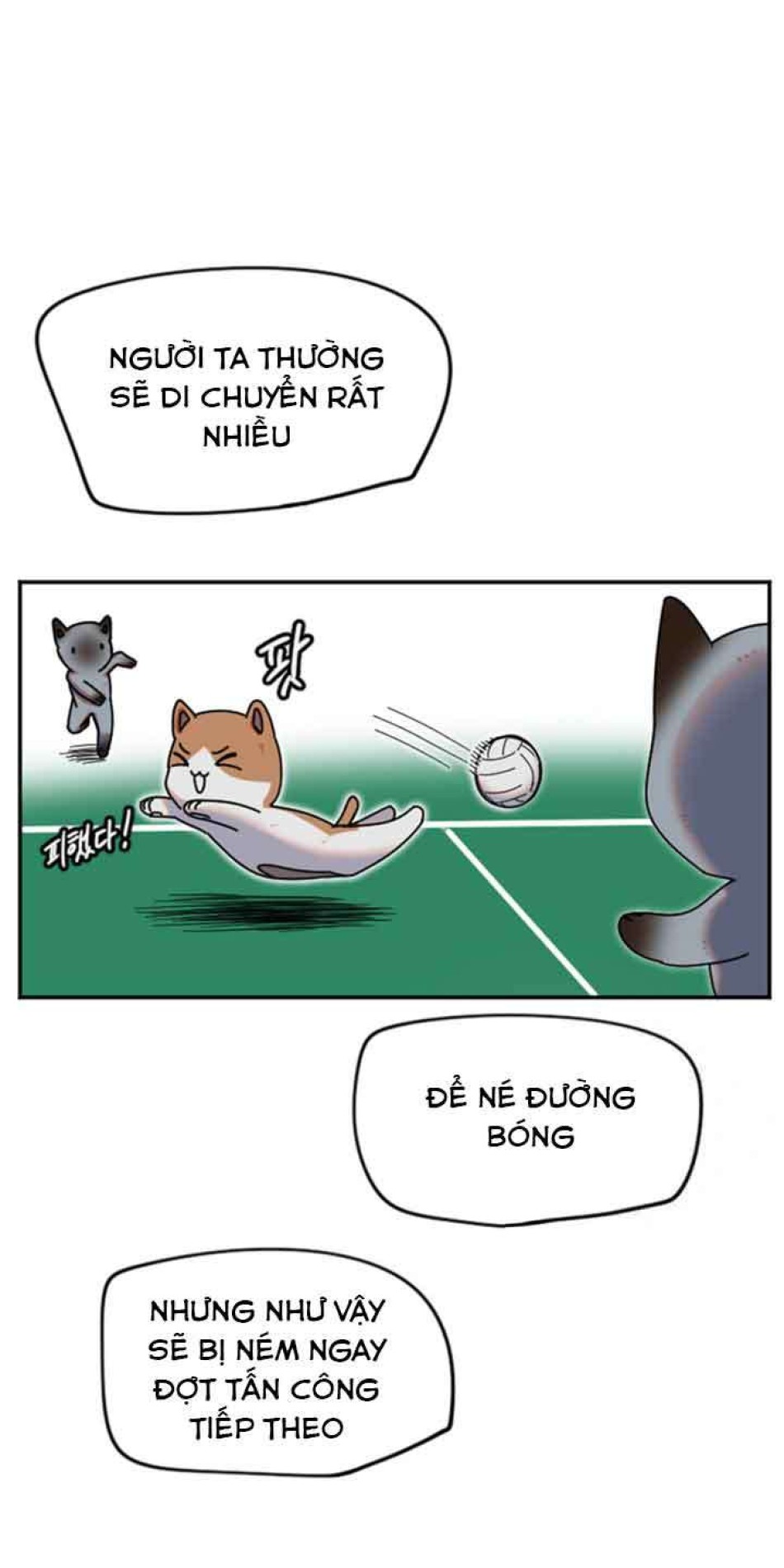 Manitto 