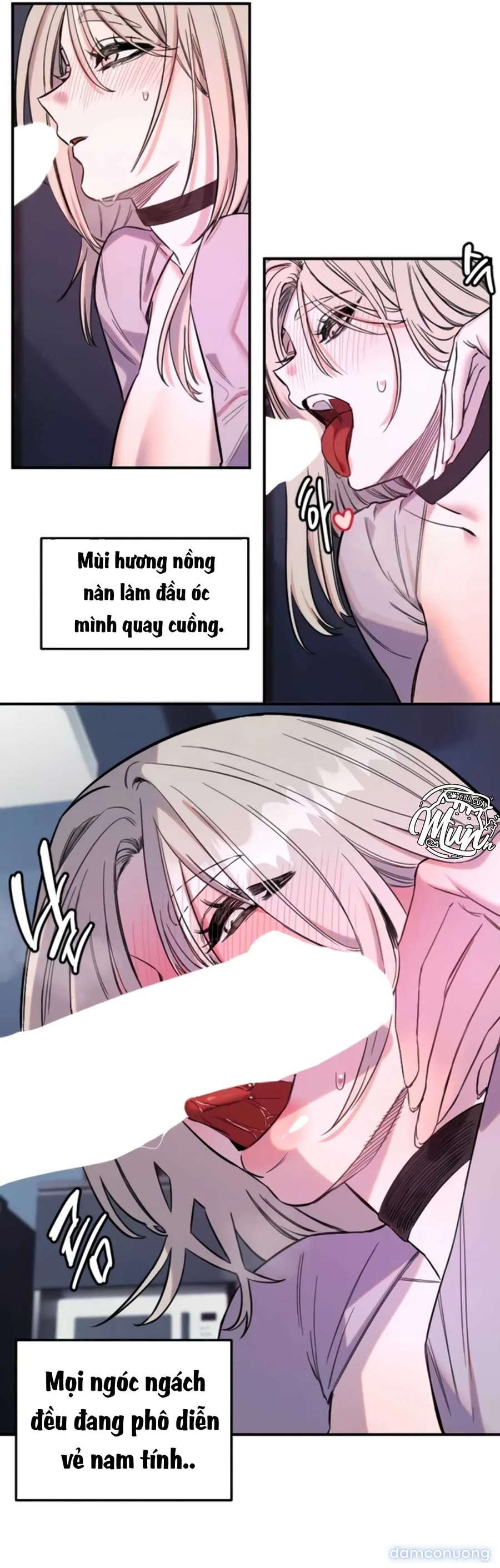 Manitto 