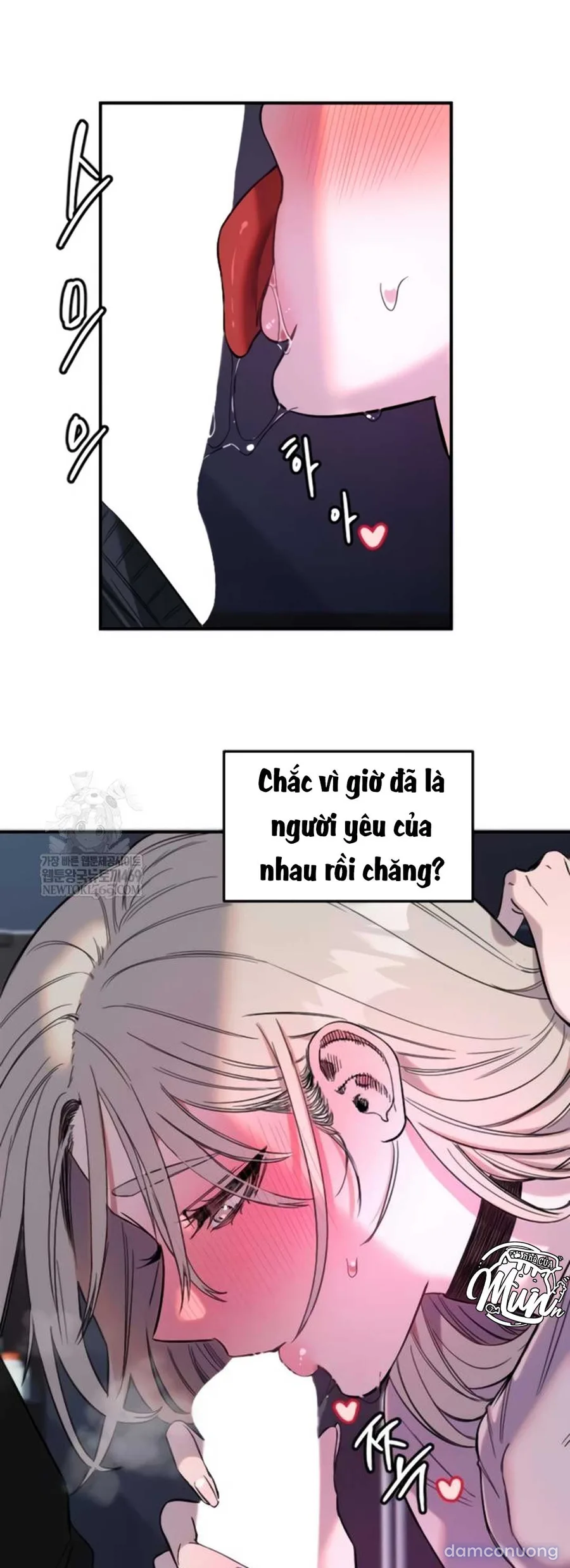 Manitto 