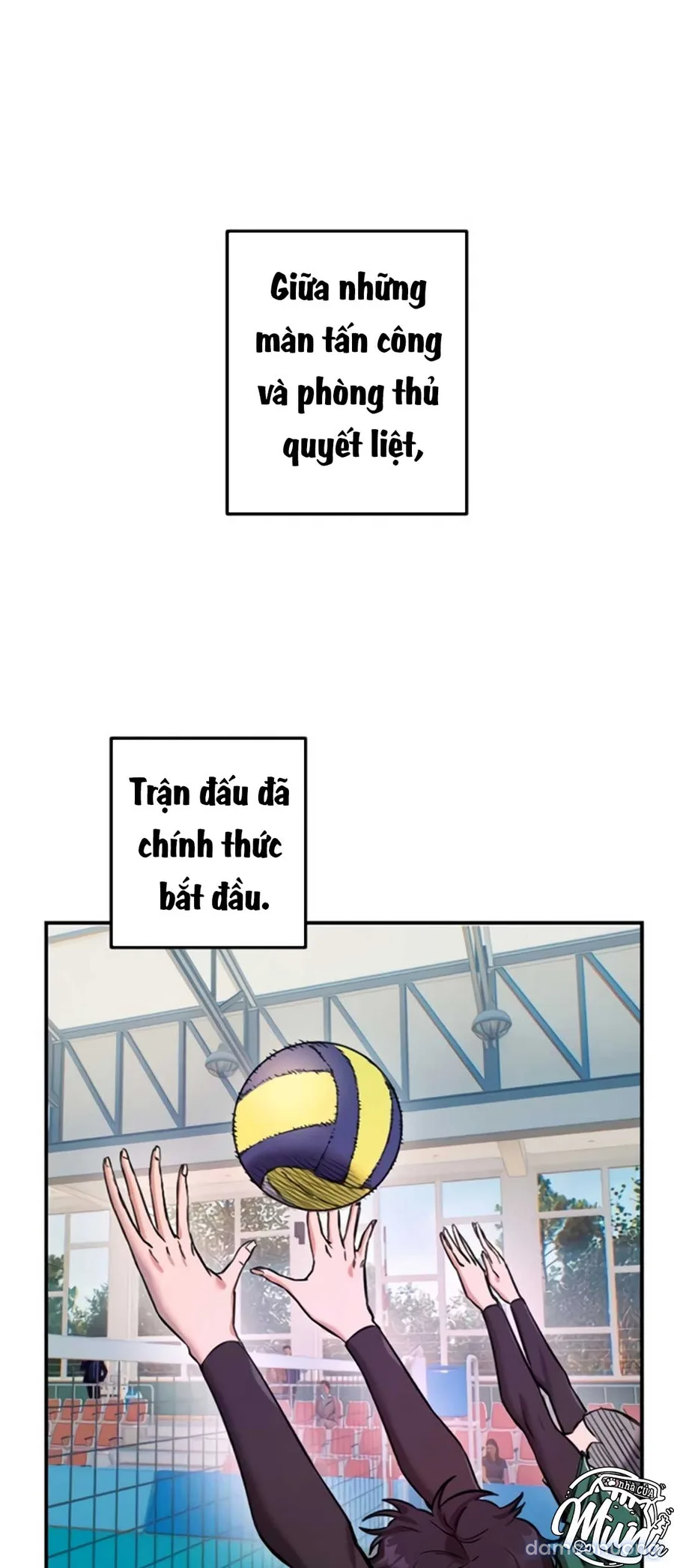 Manitto 