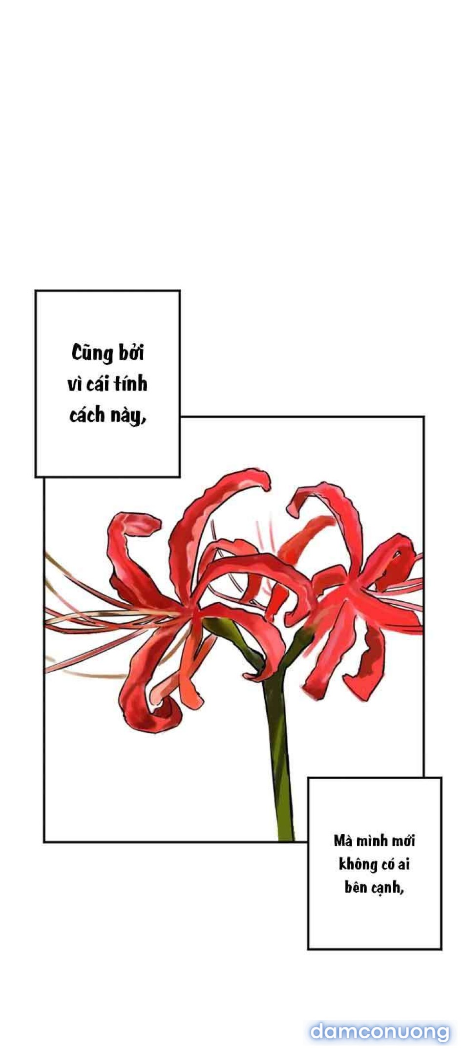Manitto 